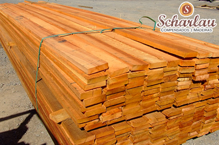 Madeira bruta de Eucalipto | Compensados e Madeiras Scharlau Ltda